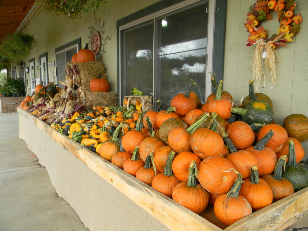 Seasonal Produce - Buckland Farm Market - Warrenton VA