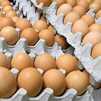 farm market fresh eggs